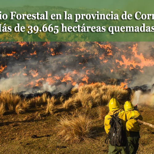 APASS colabora con la Provincia de Corrientes ante  el Incendio Forestal